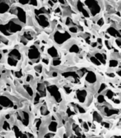 HVHP29325 Millipore疏水性Durapore PVDF 0.45um，293mm白色光面表面濾膜