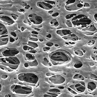 HPWP14250 Millipore Express親水性PES 0.45um,142mm表面濾膜