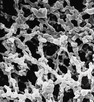AAWP09000 MF表面濾膜,親水MCE,0.8um,90mm,白色,光面