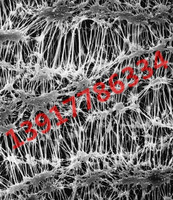 美國Merck Millipore Isopore 聚碳酸酯表面濾膜