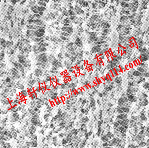 FHLC01300 LCR親水PTFE 0.45um*13mm表面濾膜 FHLC01300 LCR親水PTFE 0.45um*13mm表面濾膜